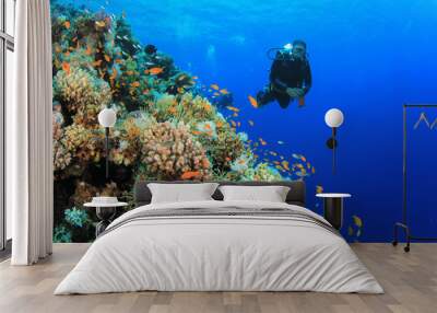 Scuba diving on coral reef Wall mural