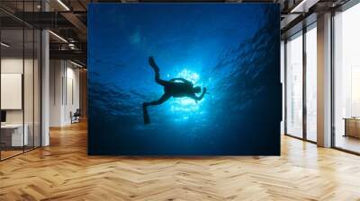 Scuba diving Wall mural