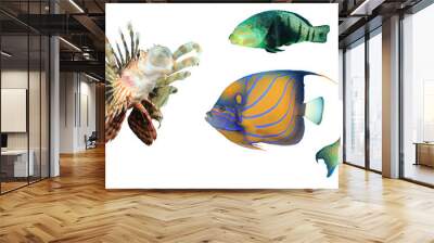 Sea fish isolated. Collection of reef fish cutout on white background. Angelfish, Wrasse, Lionfish, Surgeonfish and Parrotfish Wall mural