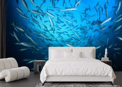 Tuna fish underwater in sea ocean Wall mural