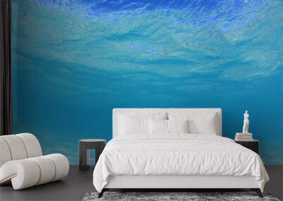 Underwater clear blue sea	 Wall mural