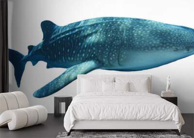 Whale Shark isolated on white background  Wall mural