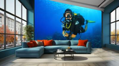 Woman Scuba Diver Wall mural