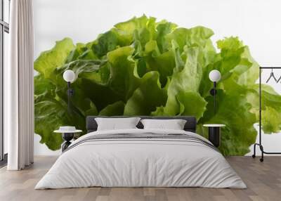 close up of fresh lettuce bunch Wall mural