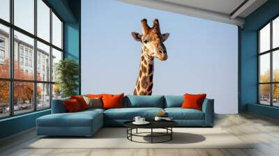 Giraffe head and neck Wall mural