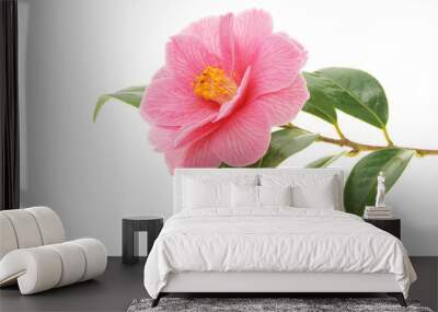 Camellia and branch Wall mural