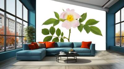 Dog rose flower and foliage Wall mural