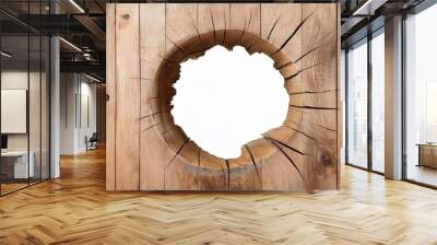 hole breaking through wooden wall isolated on transparent background Wall mural