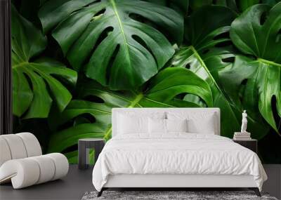 lush monstera foliage vibrant green tropical leaves background for natural designs Wall mural