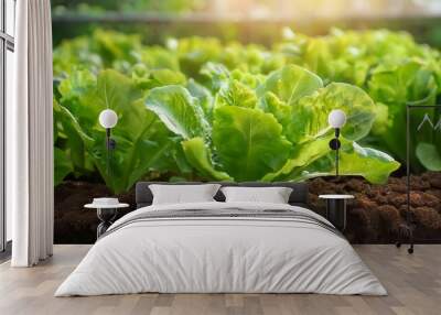 Plant leaves fresh agricultural healthy salad organic green food gardening vegetable Wall mural