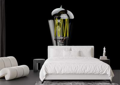 Glowing Tungsten vintage light bulb lamp on black background. Idea, concept. Edison Style Bulb. Wall mural