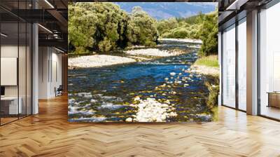 Krivan Mountain and Koprovsky brook, High Tatras, Slovakia Wall mural