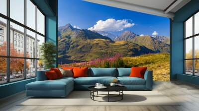 Landscape near Col du Petit-Saint-Bernard with Mont Blanc, on border France and Italy Wall mural