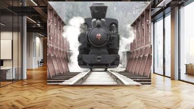 steam locomotive, Cierny Balog, Slovakia Wall mural