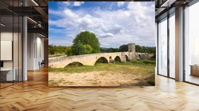 stone bridge over Ebro river in Frias, Burgos province, Castilla Leon, Spain Wall mural