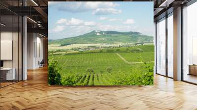 vineyards, Palava, Czech Republic Wall mural