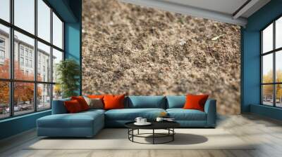 Macro shot of dirt and sand mix Wall mural