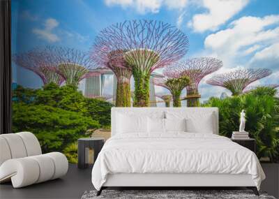 Landscape of Gardens by the Bay in singapore Wall mural