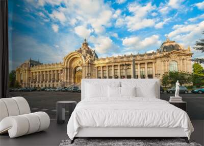 Petit Palais Museum in paris, france Wall mural