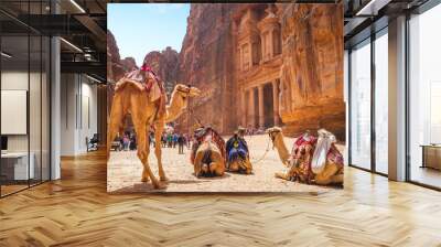 Petra Al Khazneh (The Treasury) with Camels in Jordan Wall mural