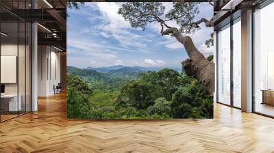 Scenery of National Kinabalu Park, Taman Negara Kinabalu, in Sabah, East Malaysia Wall mural