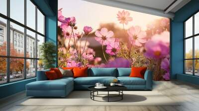 beautiful cosmos flowers swaying in the breeze with sun light slow motion Wall mural