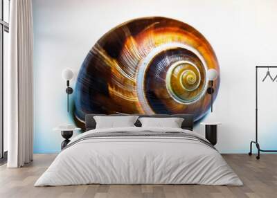 closeup of a spiral snail shell Wall mural