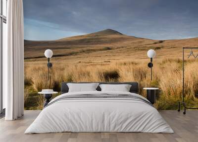 Mountain moorland. Wall mural