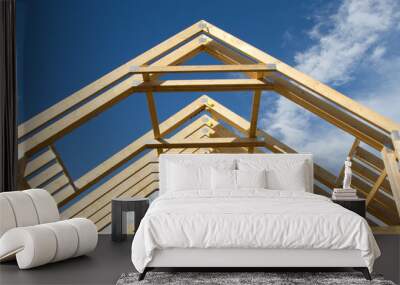 Roof trusses. Wall mural