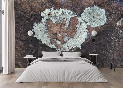 heart shaped stones Wall mural