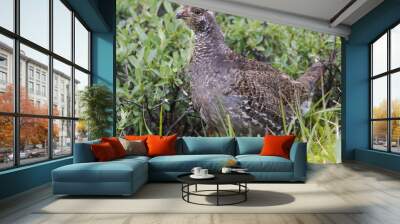 ptarmigan 2 Wall mural