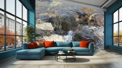 Water flowing over rocks Wall mural