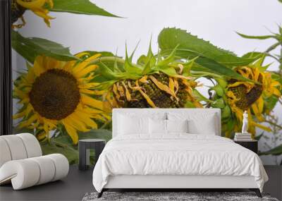 Sunflower 2 Wall mural