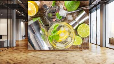 Summer detox beverage  concept. Citrus fruit drinks with ice. Healthy diet cocktail with making bar tools.  Vitamin fortified water Wall mural