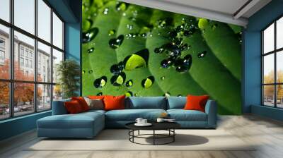 Abstract Water droplets on green plant closeup Wall mural