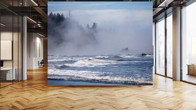 Sea stacks at ruby beach olympic national park in fog Wall mural