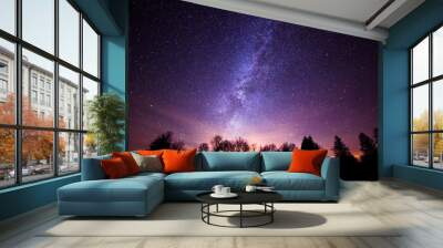 milky way galaxy from cherry springs state park Wall mural