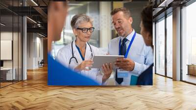 Doctor discussing patient case with specialist Wall mural