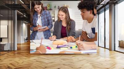 Group of college students studying together Wall mural