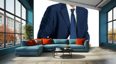 Smiling senior businessman Wall mural