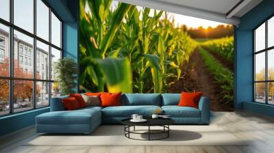 field of corn Wall mural