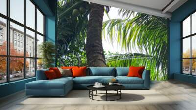 coconut tree Wall mural