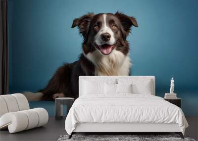 border collie puppy Wall mural