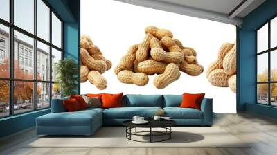 Peanuts set isolated on transparent background, shelled and unshelled peanuts collection for snacks and cooking Wall mural