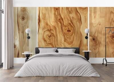 Wood textures set isolated on transparent background, various wood surfaces for decoration and design Wall mural