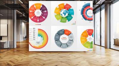 Collection of 6 vector circle chart templates 7 options. Wall mural