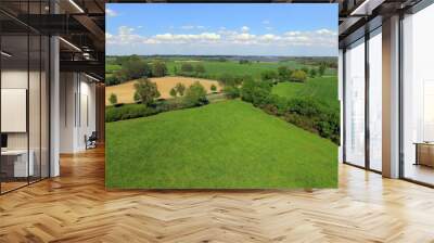 
Aerial view over green fields in germany Wall mural