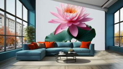 Beautiful pink water lily, fully bloomed and isolated on a clean white backdrop Wall mural