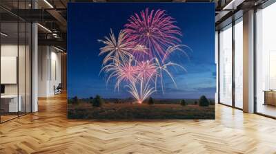 Celebrate 2025 with a dazzling fireworks display sparkling across the sky Wall mural