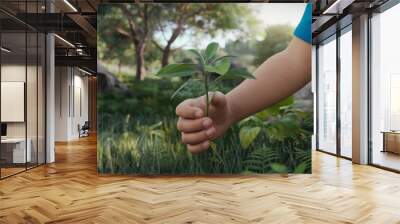 Ecology concept with plant in boy's hand and natural background Wall mural